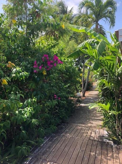 סנט-אן Secteur Prise, Bungalow Corail, Residence Casa Boubou מראה חיצוני תמונה