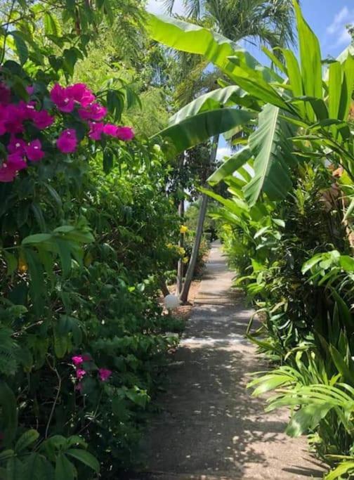 סנט-אן Secteur Prise, Bungalow Corail, Residence Casa Boubou מראה חיצוני תמונה
